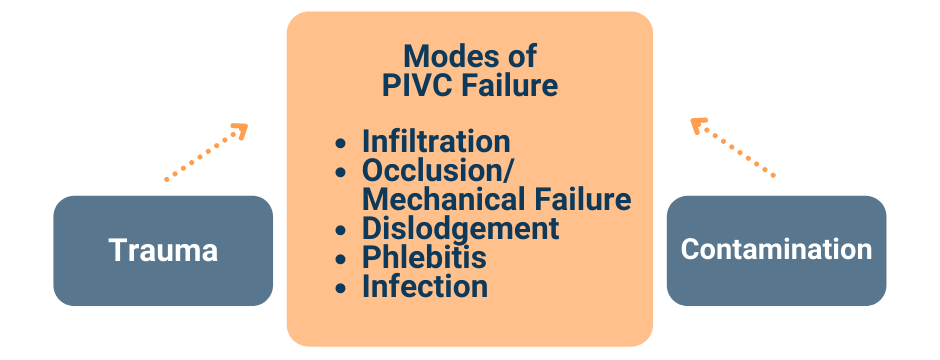 Blog 94 Graphic 1 Graphic: Modes of PIVC Failure